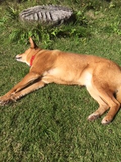 image1.jpeg